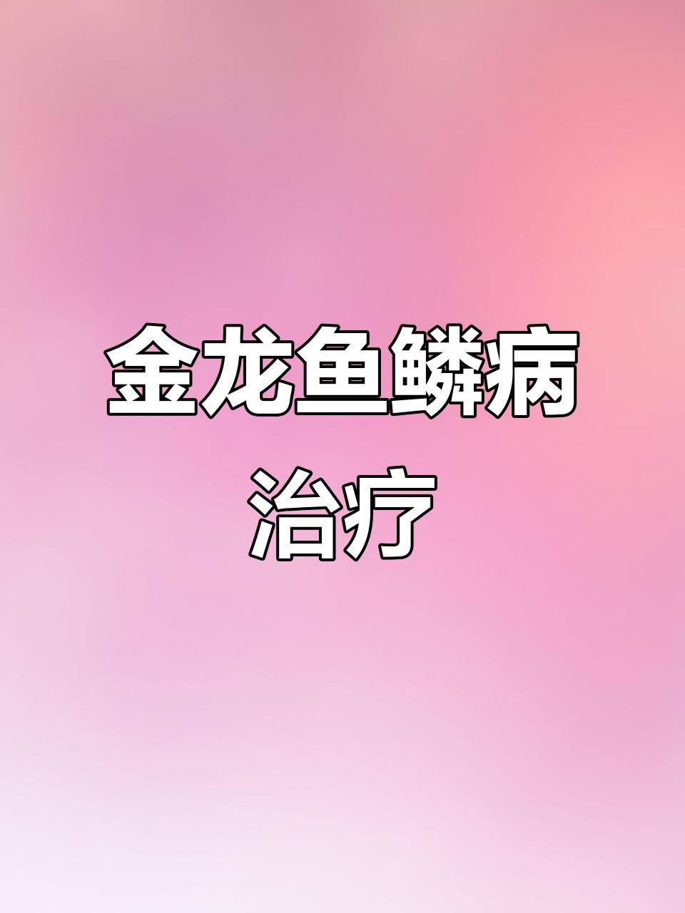 龍魚細菌感染應該如何治療？【林空鹿飲溪金龍魚鱗片感染完全攻略嗶哩嗶哩嗶哩嗶哩嗶哩嗶哩嗶哩】 龍魚細菌感染應該如何治療？【林空鹿飲溪金龍魚鱗片感染完全攻略嗶哩嗶哩嗶哩嗶哩嗶哩嗶哩嗶哩】 龍魚百科 第3張
