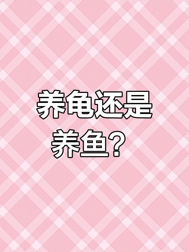 龍魚和烏龜哪個更吉利【龍魚和烏龜哪個更吉利，哪個更吉利】