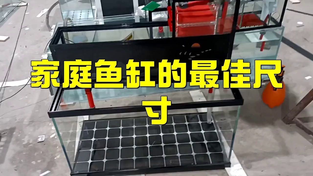 如何根據戶型選擇魚缸尺寸？【《如何根據戶型選擇魚缸尺寸》】