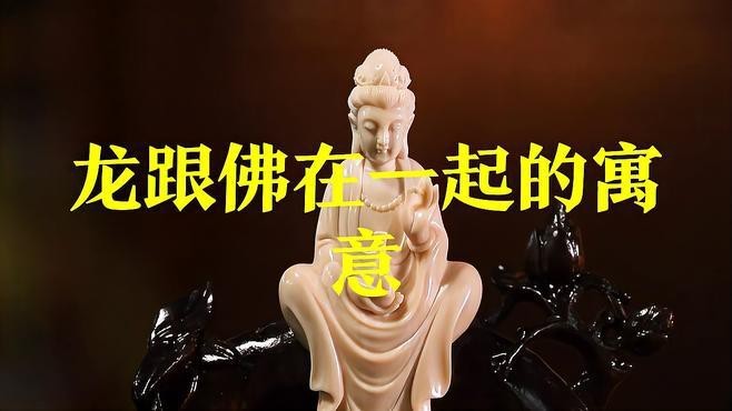 金龍?jiān)诜鸾毯偷澜讨械慕巧窘瘕堅(jiān)诜鸾毯偷澜讨芯哂胁煌南笳饕饬x和角色定位】 金龍?jiān)诜鸾毯偷澜讨械慕巧窘瘕堅(jiān)诜鸾毯偷澜讨芯哂胁煌南笳饕饬x和角色定位】 龍魚百科