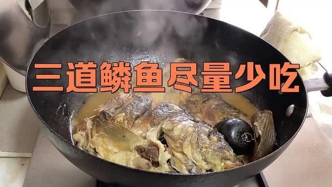 鱗魚為何盡量少吃【十八鱗魚為何要盡量少吃構意呈家白鱗魚盡量少吃】 龍魚百科 第5張 鱗魚為何盡量少吃【十八鱗魚為何要盡量少吃構意呈家白鱗魚盡量少吃】 鱗魚為何盡量少吃【十八鱗魚為何要盡量少吃構意呈家白鱗魚盡量少吃】 龍魚百科 第5張