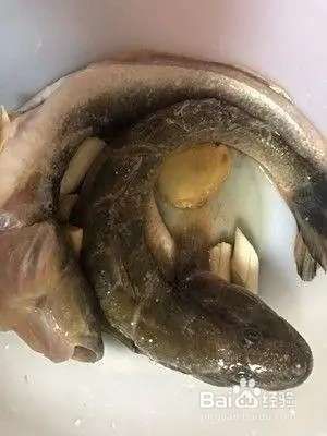 逛魚最簡單四種做法【逛魚的四種簡單做法】