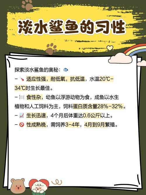 淡水鯊魚圖片大全【關于淡水鯊魚圖片大全】
