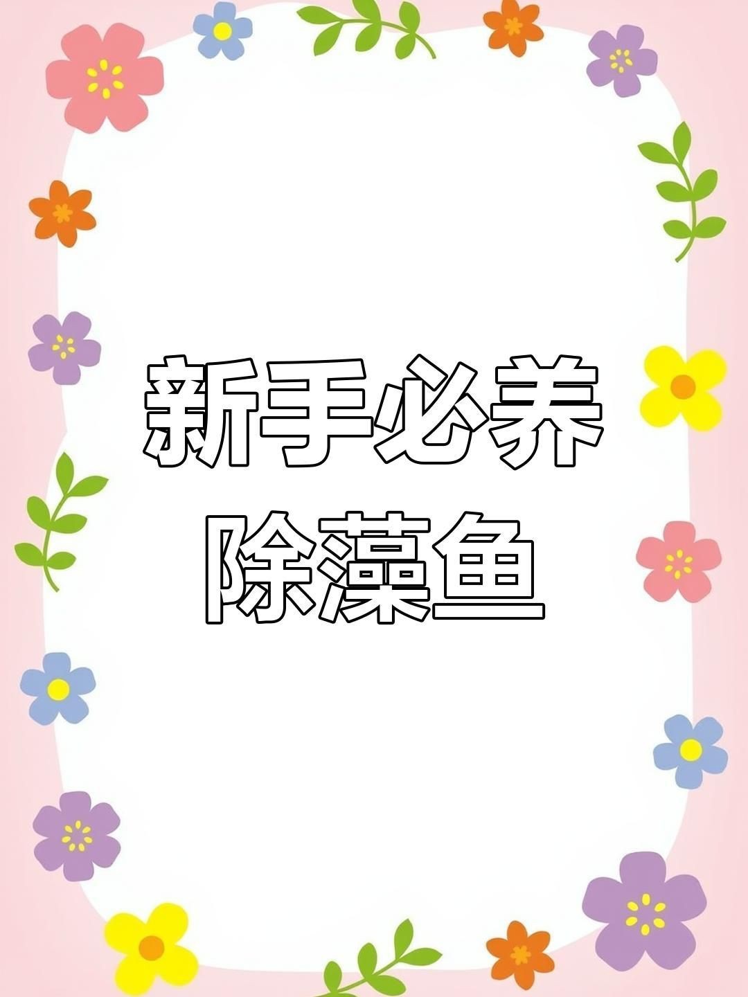 哪種清潔生物最適合新手？【新手必知的三大“懶人”清潔魚缸里必不可少的八大清潔魚】