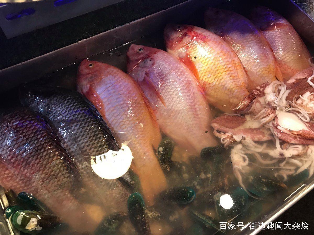 紅魚是什么檔次的魚【紅魚是什么檔次的魚，星河漫步,美國紅魚】