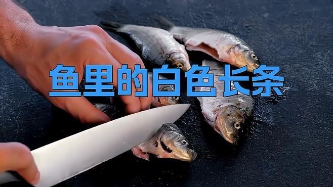 哪些魚更容易感染白色線蟲？【容易得白點的吊類排名,看看哪些最易感染】 哪些魚更容易感染白色線蟲？【容易得白點的吊類排名,看看哪些最易感染】 龍魚百科 第4張