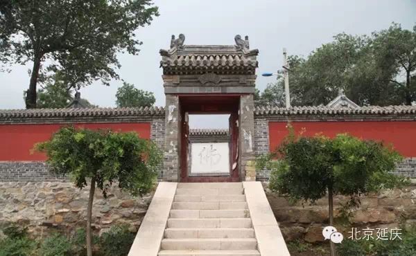 紅龍王爺的真身照片【《紅龍王爺真身照片：神秘傳說背后的探尋》】 紅龍王爺的真身照片【《紅龍王爺真身照片：神秘傳說背后的探尋》】 龍魚論壇 第2張