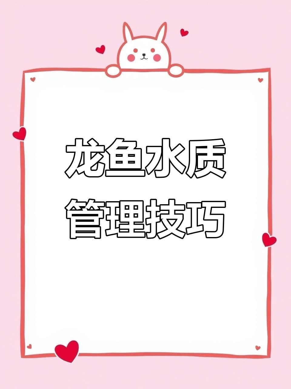 龍魚飼養的水質要求【《龍魚飼養的水質要求》】