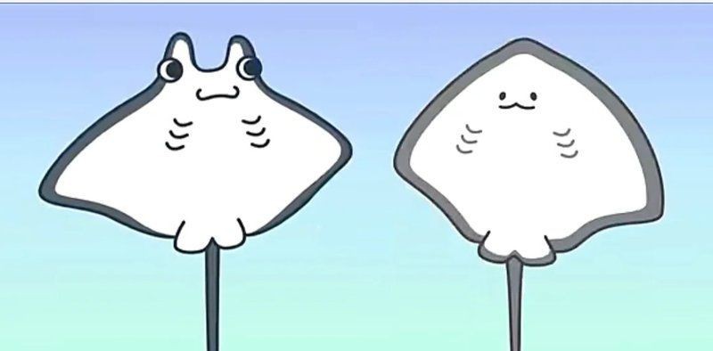 魟魚和蝠鲼的區(qū)別【澳大利亞小眾旅行攻略：[需手動(dòng)填充]魚和蝠鲼、魔鬼魚有什么區(qū)別】 魟魚和蝠鲼的區(qū)別【澳大利亞小眾旅行攻略：[需手動(dòng)填充]魚和蝠鲼、魔鬼魚有什么區(qū)別】 龍魚論壇 第13張