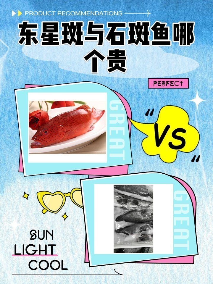 老鼠斑為什么比東星斑貴【老鼠斑與東星斑哪個貴】