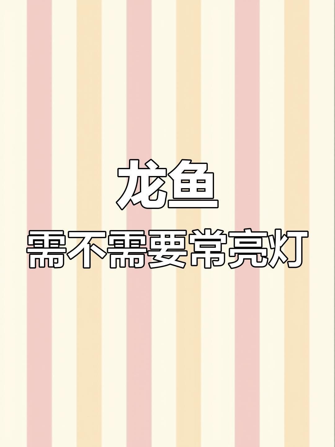養紅龍需要24小時開燈嗎【關于養紅龍是否需要24小時開燈存在不同觀點有說法】
