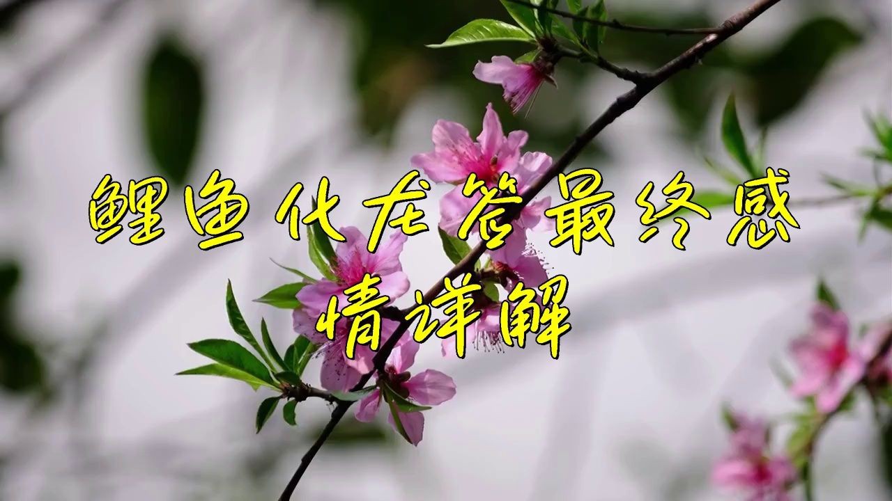 鯉魚化龍是好簽嗎【“鯉魚化龍”常被視為具有積極寓意的簽文從傳統(tǒng)象征意義來看】 鯉魚化龍是好簽嗎【“鯉魚化龍”常被視為具有積極寓意的簽文從傳統(tǒng)象征意義來看】 龍魚百科 第3張