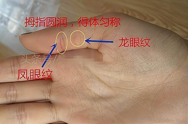 帝王手相龍眼紋【帝王手相中的龍眼紋,領袖神秘色彩與特殊意義的手相】