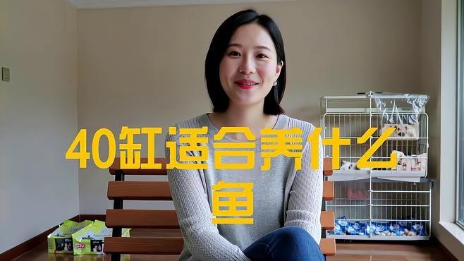 40方缸養什么魚最漂亮【40方缸適合養什么魚】 40方缸養什么魚最漂亮【40方缸適合養什么魚】 龍魚論壇 第2張
