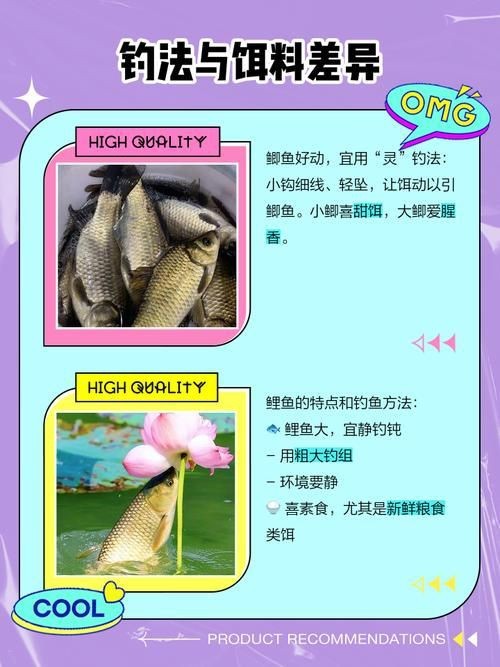 鯉鯽和鯽魚區別圖片【鯉鯽（工程鯽/湘云鯽）與普通鯽魚的區別】 鯉鯽和鯽魚區別圖片【鯉鯽（工程鯽/湘云鯽）與普通鯽魚的區別】 龍魚百科 第16張