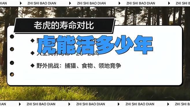 老虎能活多少年【老虎的壽命到底有多長？】 老虎能活多少年【老虎的壽命到底有多長？】 龍魚百科 第4張