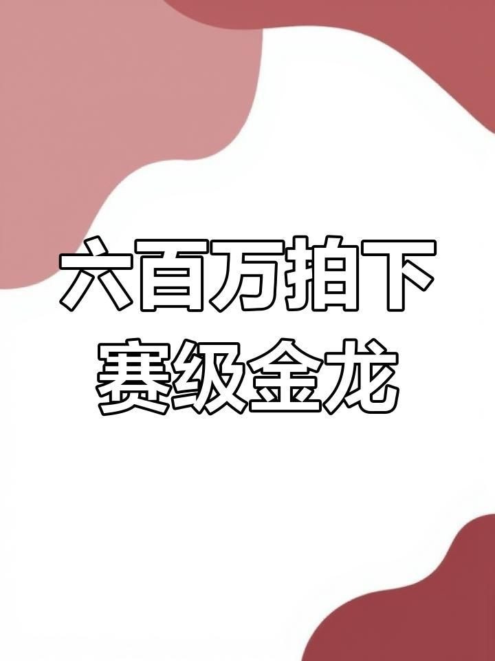 賽級金龍最貴的三個款式【級金龍魚中最貴的三個款式當屬血紅龍、辣椒紅龍和黃金龍】