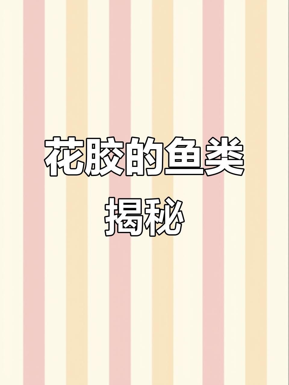 花膠是什么魚的魚肚【你知道花膠背后的魚種嗎】