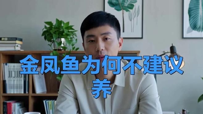 金鳳魚為何不建議養【養殖金鳳魚的注意事項】