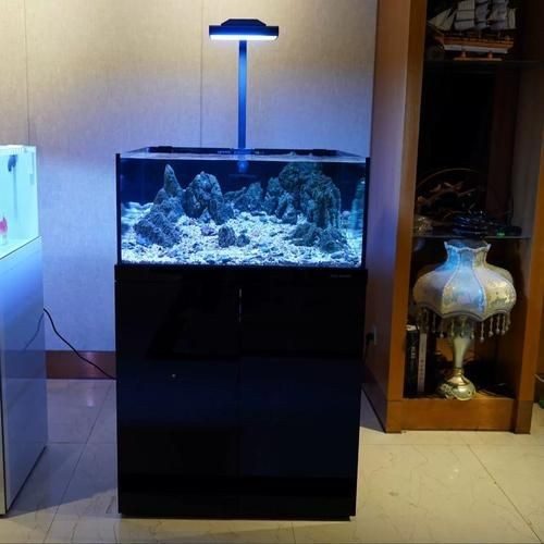 可麗愛魚缸過濾系統(tǒng)圖【《可麗愛魚缸過濾系統(tǒng)圖：保障水族生態(tài)的關(guān)鍵》】 可麗愛魚缸過濾系統(tǒng)圖【《可麗愛魚缸過濾系統(tǒng)圖：保障水族生態(tài)的關(guān)鍵》】 龍魚百科 第3張