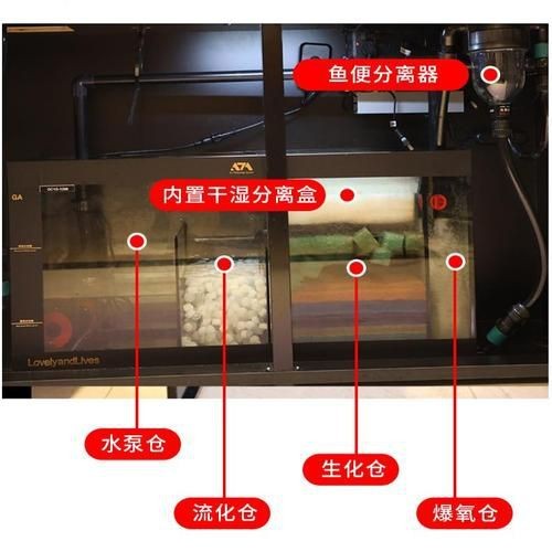 可麗愛魚缸過濾系統(tǒng)圖【《可麗愛魚缸過濾系統(tǒng)圖：保障水族生態(tài)的關(guān)鍵》】 可麗愛魚缸過濾系統(tǒng)圖【《可麗愛魚缸過濾系統(tǒng)圖：保障水族生態(tài)的關(guān)鍵》】 龍魚百科 第7張
