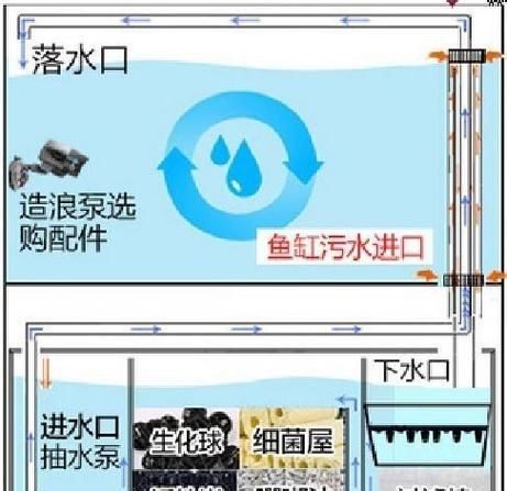 可麗愛魚缸過濾系統(tǒng)圖【《可麗愛魚缸過濾系統(tǒng)圖：保障水族生態(tài)的關(guān)鍵》】 可麗愛魚缸過濾系統(tǒng)圖【《可麗愛魚缸過濾系統(tǒng)圖：保障水族生態(tài)的關(guān)鍵》】 龍魚百科 第13張
