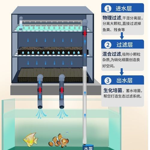 可麗愛魚缸過濾系統(tǒng)圖【《可麗愛魚缸過濾系統(tǒng)圖：保障水族生態(tài)的關(guān)鍵》】 可麗愛魚缸過濾系統(tǒng)圖【《可麗愛魚缸過濾系統(tǒng)圖：保障水族生態(tài)的關(guān)鍵》】 龍魚百科 第15張