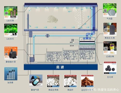 可麗愛魚缸過濾系統(tǒng)圖【《可麗愛魚缸過濾系統(tǒng)圖：保障水族生態(tài)的關(guān)鍵》】 可麗愛魚缸過濾系統(tǒng)圖【《可麗愛魚缸過濾系統(tǒng)圖：保障水族生態(tài)的關(guān)鍵》】 龍魚百科 第16張