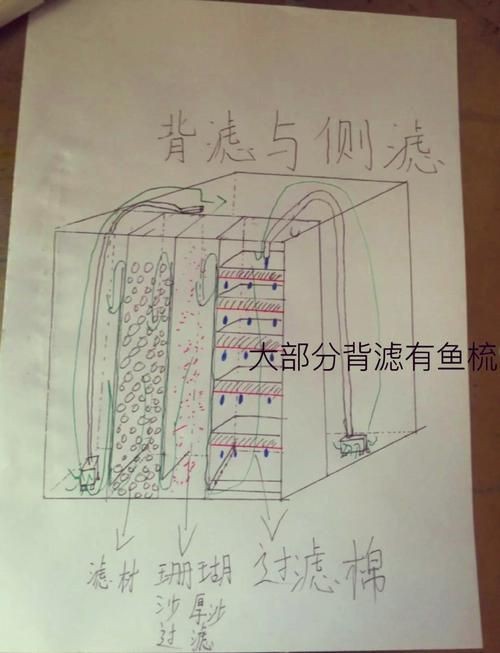 可麗愛魚缸過濾系統(tǒng)圖【《可麗愛魚缸過濾系統(tǒng)圖：保障水族生態(tài)的關(guān)鍵》】 可麗愛魚缸過濾系統(tǒng)圖【《可麗愛魚缸過濾系統(tǒng)圖：保障水族生態(tài)的關(guān)鍵》】 龍魚百科 第19張