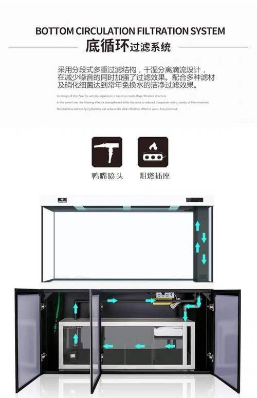 可麗愛魚缸過濾系統(tǒng)圖【《可麗愛魚缸過濾系統(tǒng)圖：保障水族生態(tài)的關(guān)鍵》】 可麗愛魚缸過濾系統(tǒng)圖【《可麗愛魚缸過濾系統(tǒng)圖：保障水族生態(tài)的關(guān)鍵》】 龍魚百科 第22張
