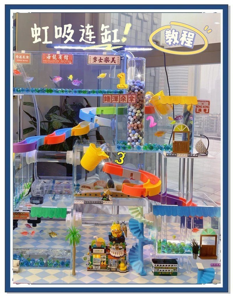 馬印水族最簡單三個魔術