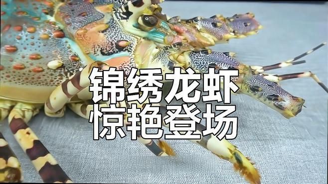 錦繡龍蝦多少錢一斤【錦繡龍蝦價格揭秘豆腐腦貓兒錦繡龍蝦有哪些營飪方法】 錦繡龍蝦多少錢一斤【錦繡龍蝦價格揭秘豆腐腦貓兒錦繡龍蝦有哪些營飪方法】 龍魚百科 第4張