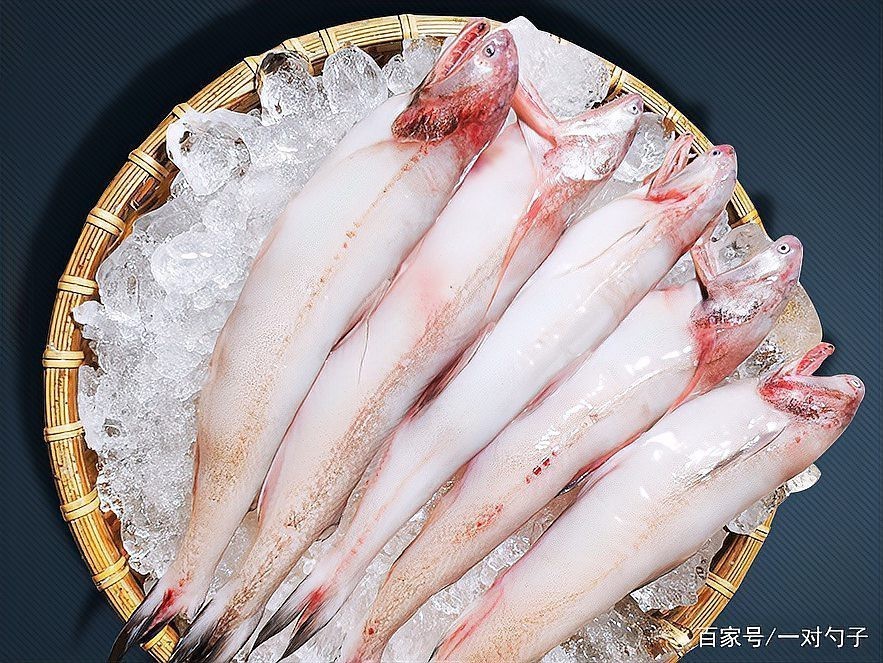 龍頭魚為什么便宜【龍頭魚一對勺子,寧可不吃豬肉，也要吃點魚,12一斤蠻合算,只是這魚名字有點怪豆帝煮】 龍頭魚為什么便宜【龍頭魚一對勺子,寧可不吃豬肉，也要吃點魚,12一斤蠻合算,只是這魚名字有點怪豆帝煮】 龍魚論壇 第2張