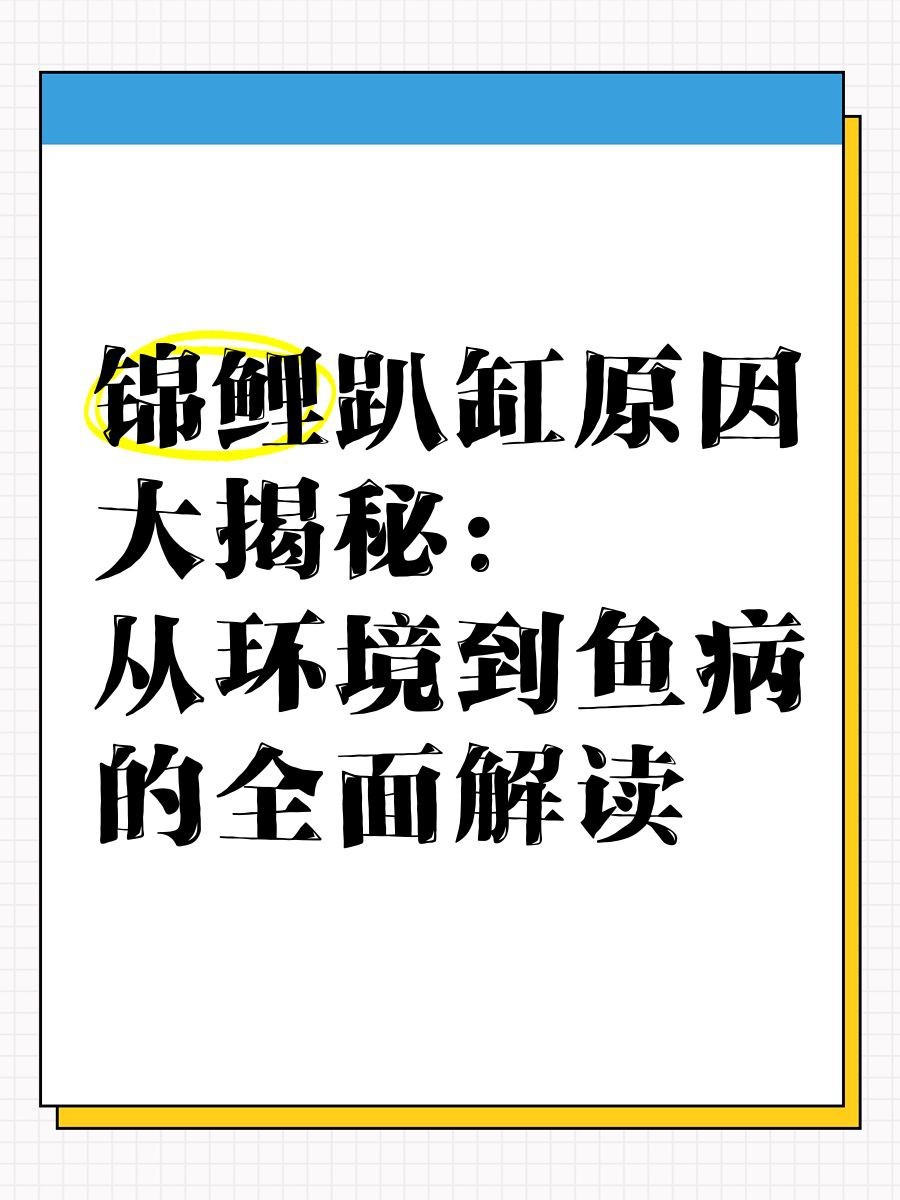 錦鯉一會活躍一會趴缸【《錦鯉活躍一會趴缸》活躍一會活躍一會趴缸的情況】