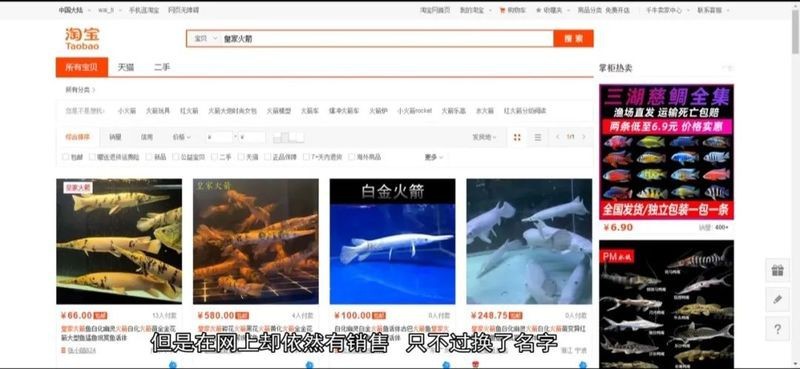 鱷雀鱔咬人嗎【鱷雀鱔會咬人嗎？】