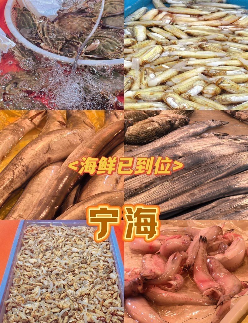 寧海最大海鮮市場在哪里【寧海最大海鮮市場的海鮮交易場所值得關注】