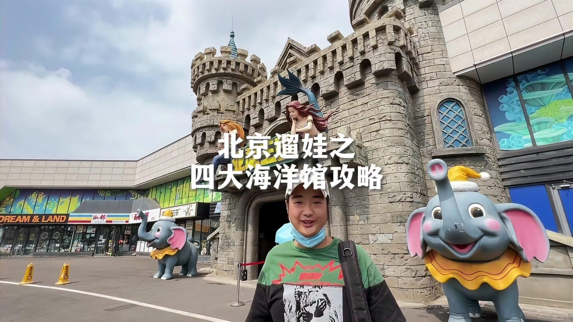 哪個城市的海洋館最好玩【《探尋最好玩的海洋館所在城市》】 龍魚百科 第2張 哪個城市的海洋館最好玩【《探尋最好玩的海洋館所在城市》】 哪個城市的海洋館最好玩【《探尋最好玩的海洋館所在城市》】 龍魚百科 第2張