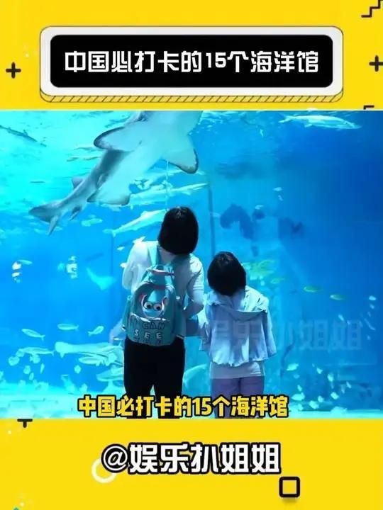 哪個城市的海洋館最好玩【《探尋最好玩的海洋館所在城市》】 龍魚百科 第3張 哪個城市的海洋館最好玩【《探尋最好玩的海洋館所在城市》】 哪個城市的海洋館最好玩【《探尋最好玩的海洋館所在城市》】 龍魚百科 第3張