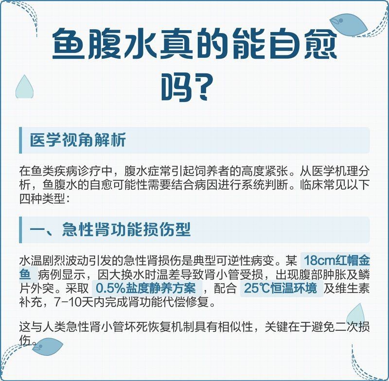 龍魚腹水可以自愈嗎【龍魚腹水如何自愈】