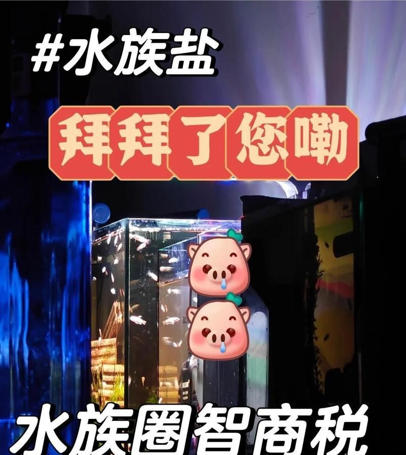 馬印水族鹽怎么樣【《馬印水族鹽怎么樣？》】
