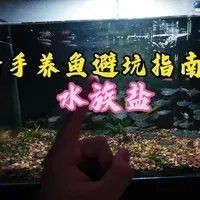 馬印水族鹽怎么樣【《馬印水族鹽怎么樣？》】