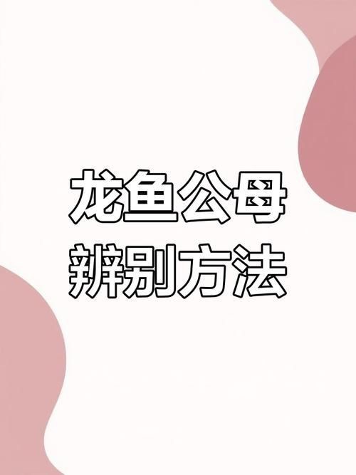 龍魚公母對照圖【龍魚公母圖解大全龍魚如何分公母圖解大全龍魚公母圖解】