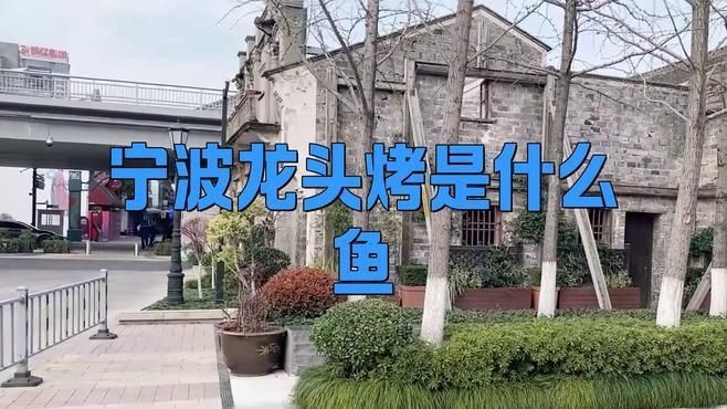 龍頭烤是什么魚做的【上海龍頭烤，外酥里嫩的完美口感】 龍頭烤是什么魚做的【上海龍頭烤，外酥里嫩的完美口感】 龍魚百科 第1張