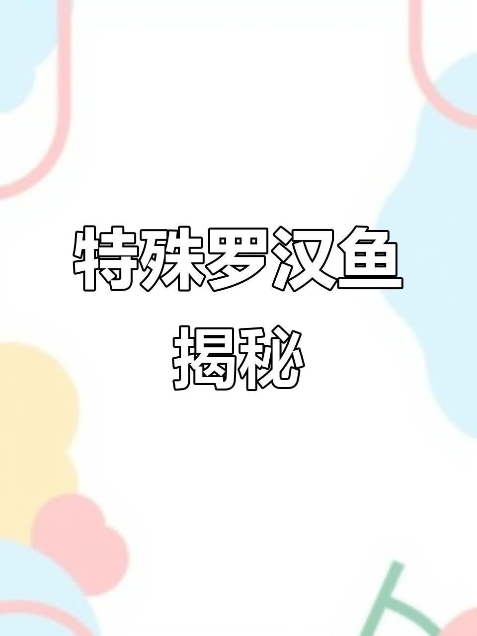 羅漢魚價格多少錢一條【史上最全羅漢魚價格齊家星冉羅漢魚價格多少錢一條】