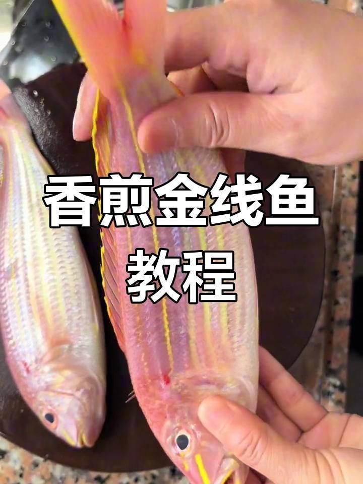 金絲魚最佳吃法【《金絲魚最佳吃法》**，肉質(zhì)鮮嫩，味道鮮美，有多種絕佳吃法】