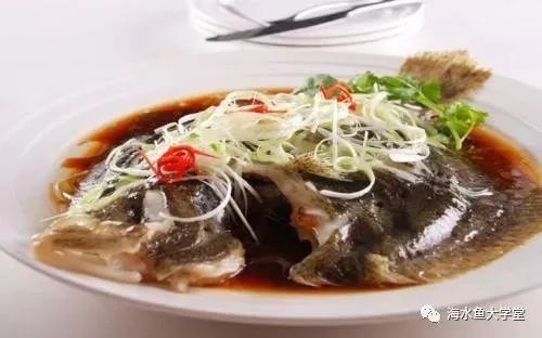 多寶魚又叫什么魚【多寶魚為什么叫多寶魚】 多寶魚又叫什么魚【多寶魚為什么叫多寶魚】 龍魚論壇 第5張
