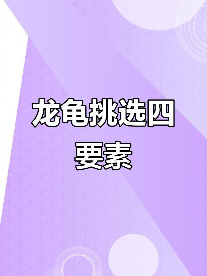 如何辨別龍龜飾品的真偽？【如何辨別真假岫玉龍龜】