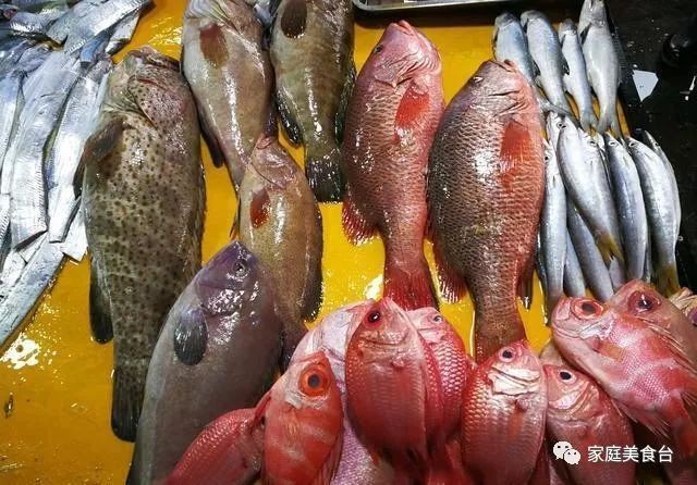 十大便宜好養(yǎng)的魚【十大便宜好養(yǎng)的觀賞魚，適合初學(xué)者的觀賞魚,皮實(shí)易養(yǎng)】
