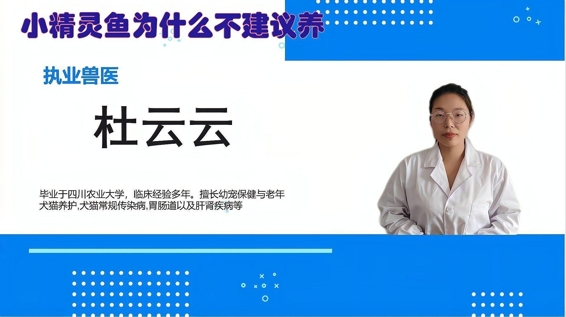 老虎小精靈魚的優缺點【《老虎小精靈魚的優缺點》】