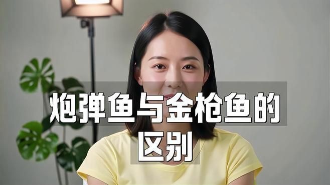 金槍魚和炮彈魚的區(qū)別【炮彈魚與金槍魚的區(qū)別】 龍魚百科 第3張 金槍魚和炮彈魚的區(qū)別【炮彈魚與金槍魚的區(qū)別】 金槍魚和炮彈魚的區(qū)別【炮彈魚與金槍魚的區(qū)別】 龍魚百科 第3張